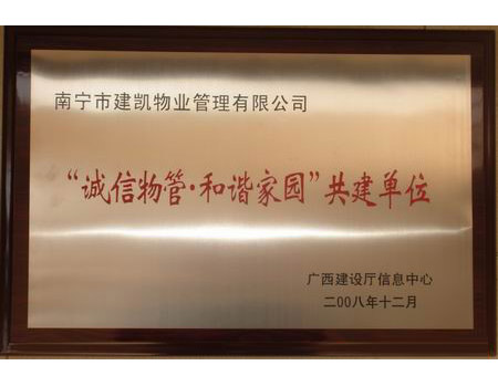 信凯安防工程