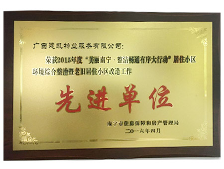 信凯安防工程
