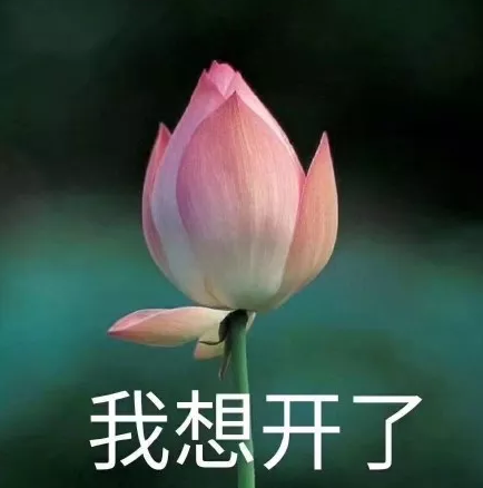 广西物业服务 广西物业服务