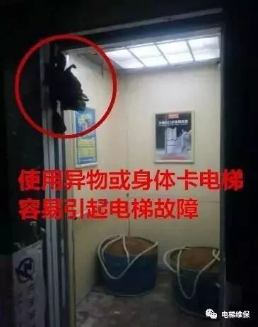 1571298992641730.jpeg